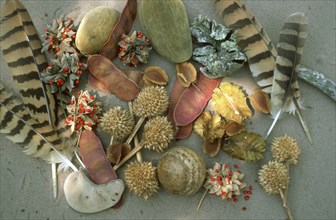 Seeds &feathers