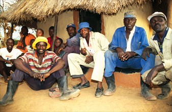 Zimbabwean farm labourers
