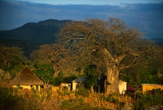 Rural kraal