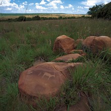 PETROGLYPHS OF ANTELOPE