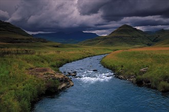 COBHAM, DRAKENSBERG