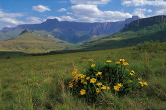 Amphitheater, Drakensberg