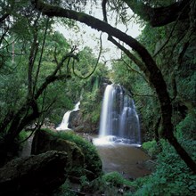 Horseshoe falls