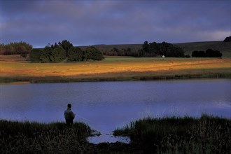 Trout fishing