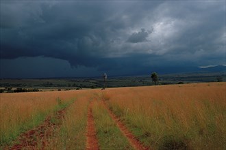 Highveld storm