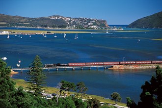 OUTENIQUA CHOO-TJOE; KNYSNA LAGOON