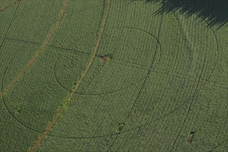 aerial view of field