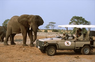 Elephant watching tourists
\n