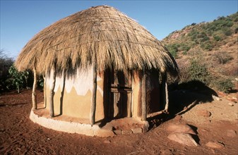Traditional grass thatched hut
\n