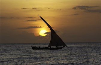 Dhow at sunset
\n