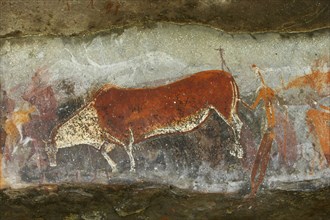 Peintures rupestres des San du sud