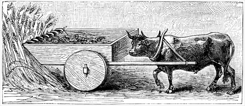 Reconstruction of reaping machine used in Gaul in Ancient Roman times, as described by Pliny