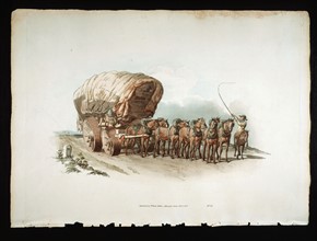 Stage wagon with wide roller wheels