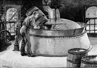 Adding hops to boiling beer in an American brewery