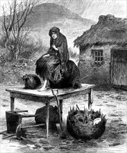 Pénurie de pommes de terre  Une fille de paysan irlandais garde les derniers biens de la famille
