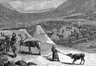 Engraving showing a Lapp encampment with reindeer corral