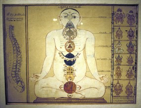 Six chakras représentant les plexus du corps humain