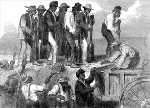 La guerre de Secession aux Etats-Unis : esclaves noirs renforcant les fortifications de Savannah en Georgie