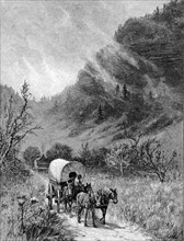 Voiture tiree par une mule traversant le plateau du Cumberland, dans le Ketucky