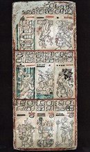 Dresden Maya codex