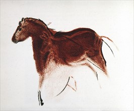 Horse and Hind, Palaeolithic cave painting