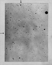 Longue exposition d'un champ d'étoiles représentant la trajectoire de l'astéroïde (Planétoïde) Sappho par rapport à la position des étoiles