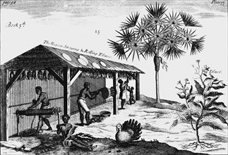 Scene on an American tobacco plantation