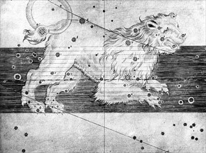 Johann Bayer, Constellation du Lion