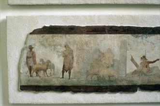 Fermiers romains et leurs moutons