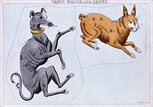 Constellations of Canis Major and Lupus