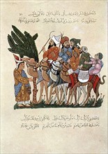 Travellers on camels