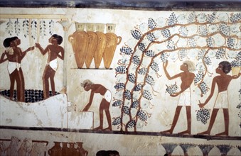 Wall painting from the tomb of the scribe Menna