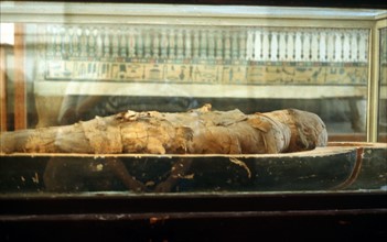 Mummy wrapped in bandages and lying on base of coffin