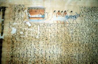 Ancient Egyptian papyrus