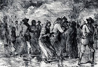 Fugitive slaves fleeing from Maryland to Delaware by way of the 'Underground Railroad', 1850-1851