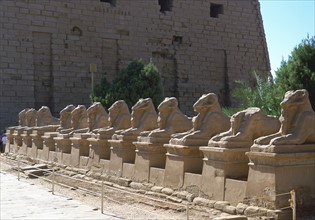 Line of ram-headed sphinxes, temple of Rameses II, The Great
