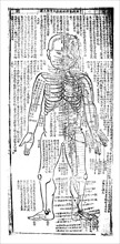 Acupuncture chart for front of the body