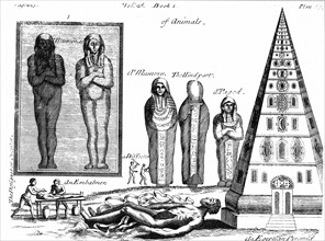 Mummies and embalming