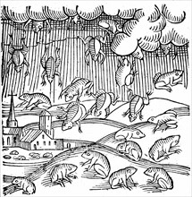 Rain of frogs recorded in 1355