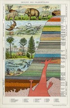 Diagram showing formation of different rocks and evolution of life on Earth