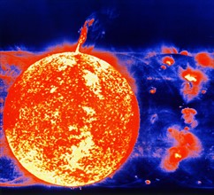 Sunspots and prominences in 1973
