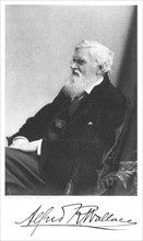 Alfred Russell  Wallace
