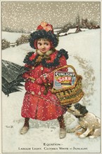 Trade card for Sunlight soap