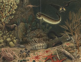 Artist's impression of deep sea scene with luminous fishes