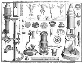 Microscopes and microscopical objects