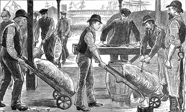 Dockers unloading sugar at West India Docks, London