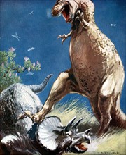 Triceratops, a horned dinosaur, held down by Tyrannosaur