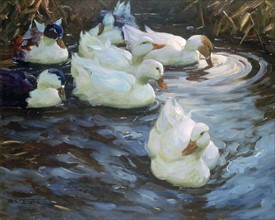 Koester, 'Ducks on a Pond'
