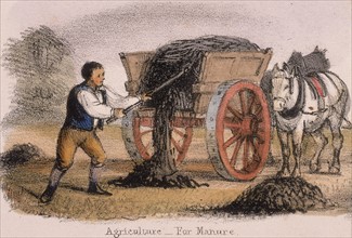 The manure cart