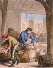 Curing herring by salting andpacking into barrels